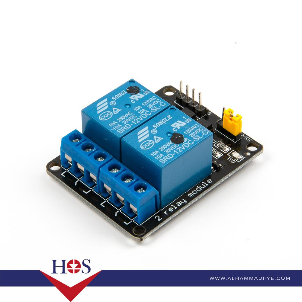 2Channel Relay Module (with light coupling) 12V ريلي 2 قناة  12 فولت