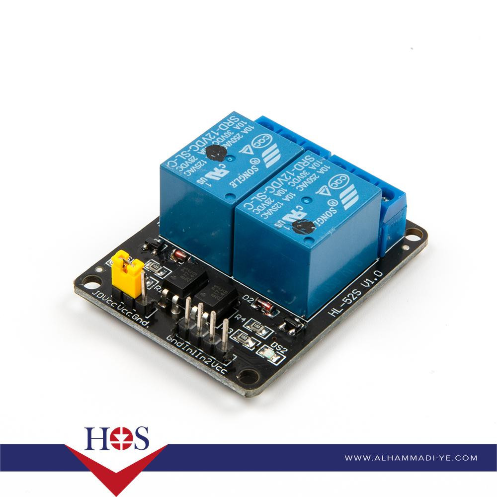 2Channel Relay Module (with light coupling) 12V ريلي 2 قناة  12 فولت